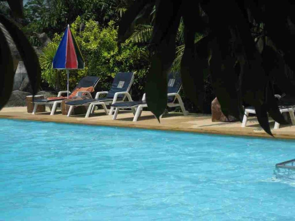 Der große Hauptpool Hotel Banana Bungalow