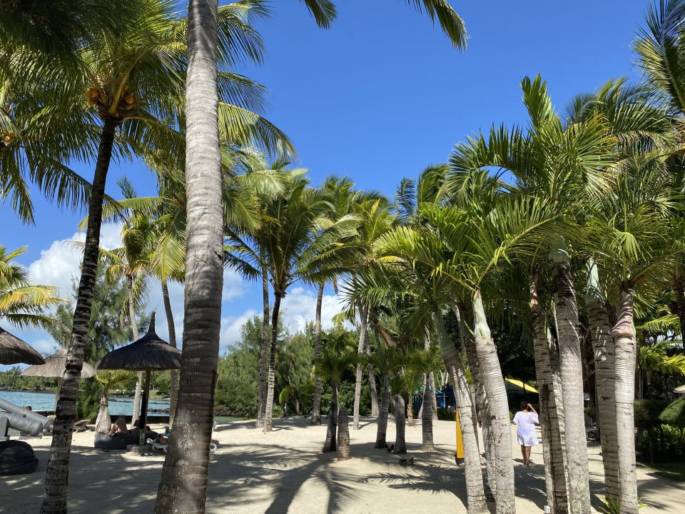 Gartenanlage Lagoon Attitude - Adults only