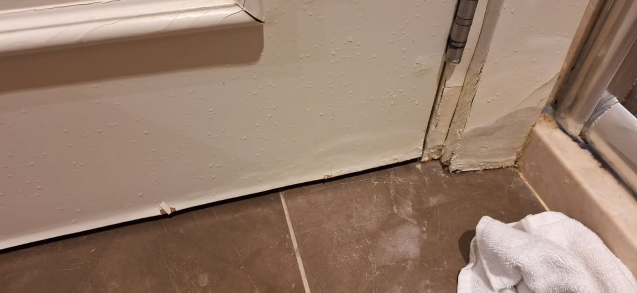 Zimmer Well Palace Side