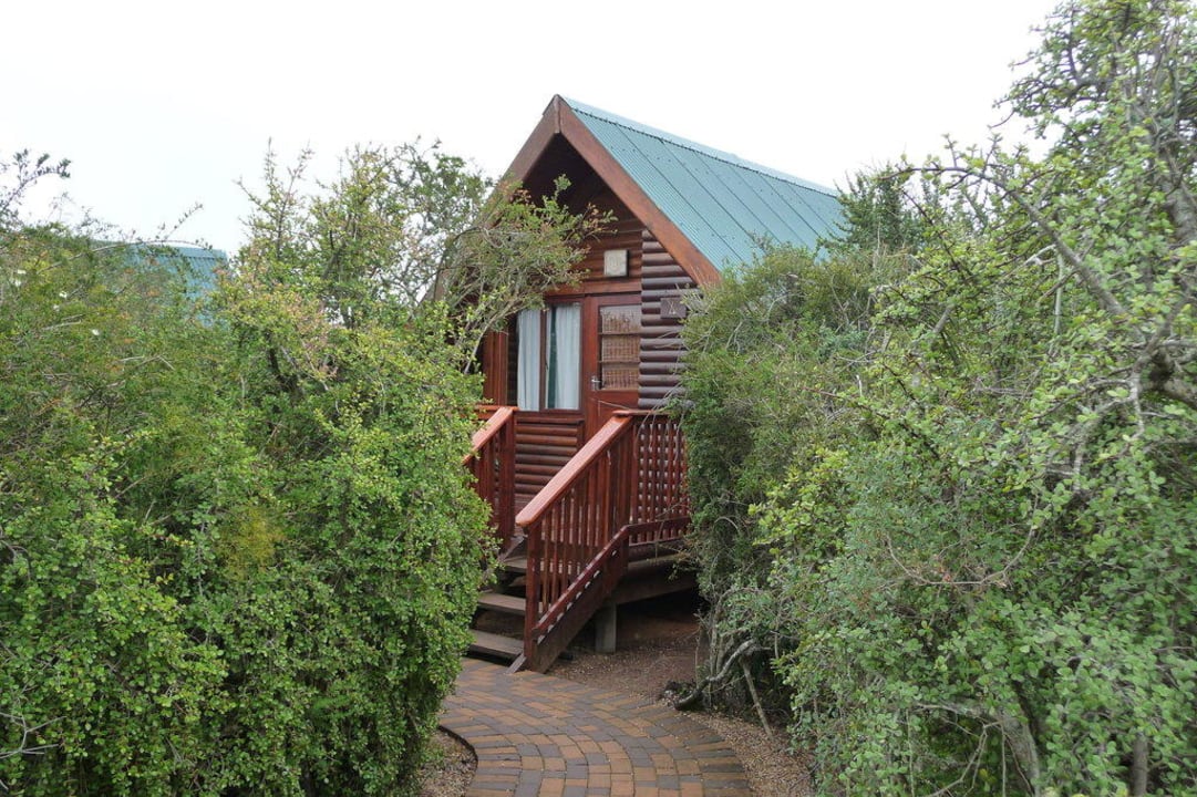  Forest Cabin Addo Elephant Rest Camp Sunday s River Valley 