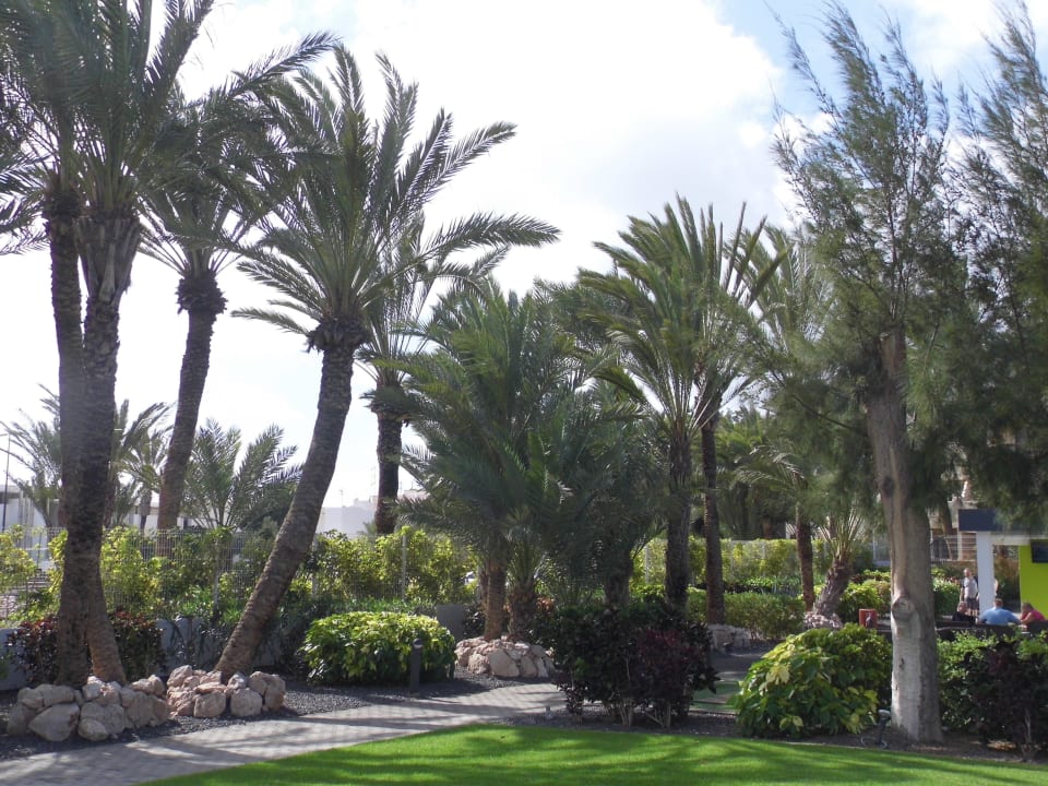 Weg zur Bar R2 Romantic Fantasia Suites - Adults only