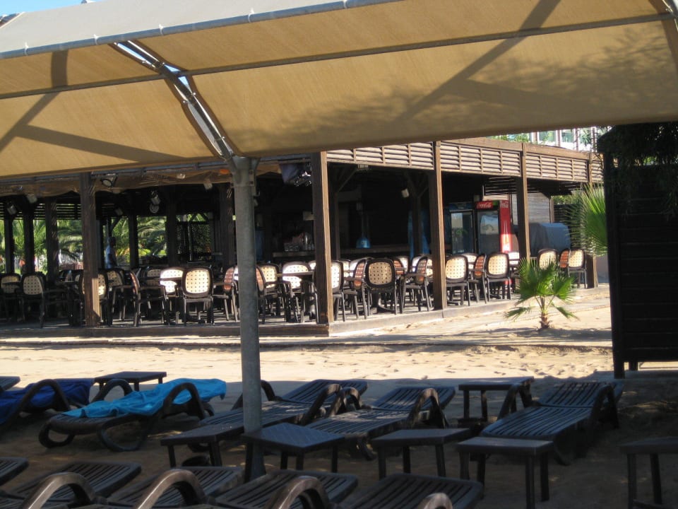 Morgens am Strand Aydinbey Kings Palace & Spa