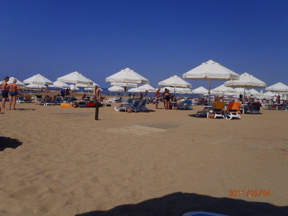 Genug Platz für alle! PALOMA Perissia