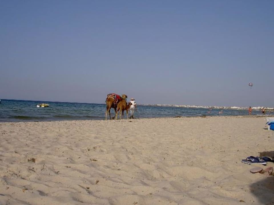 Hotelstrand - Iberotel Sahara Beach Sahara Beach Aquapark & Resort