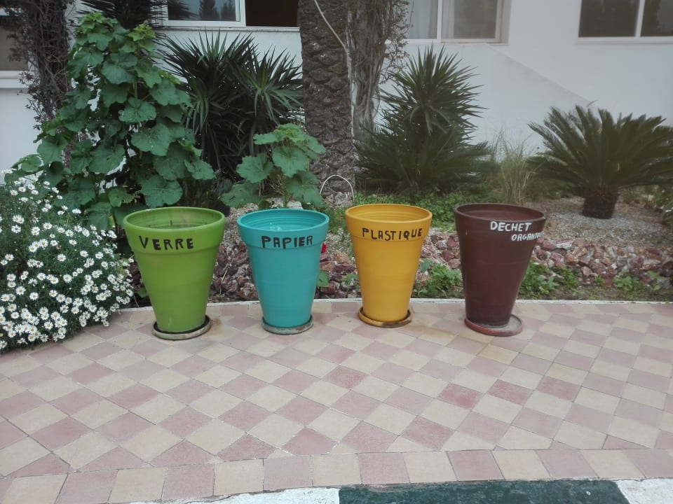 Gartenanlage Marhaba Royal Salem