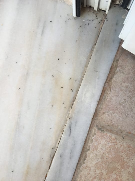 Zimmer Summer Village of Hippokrates - Adults only