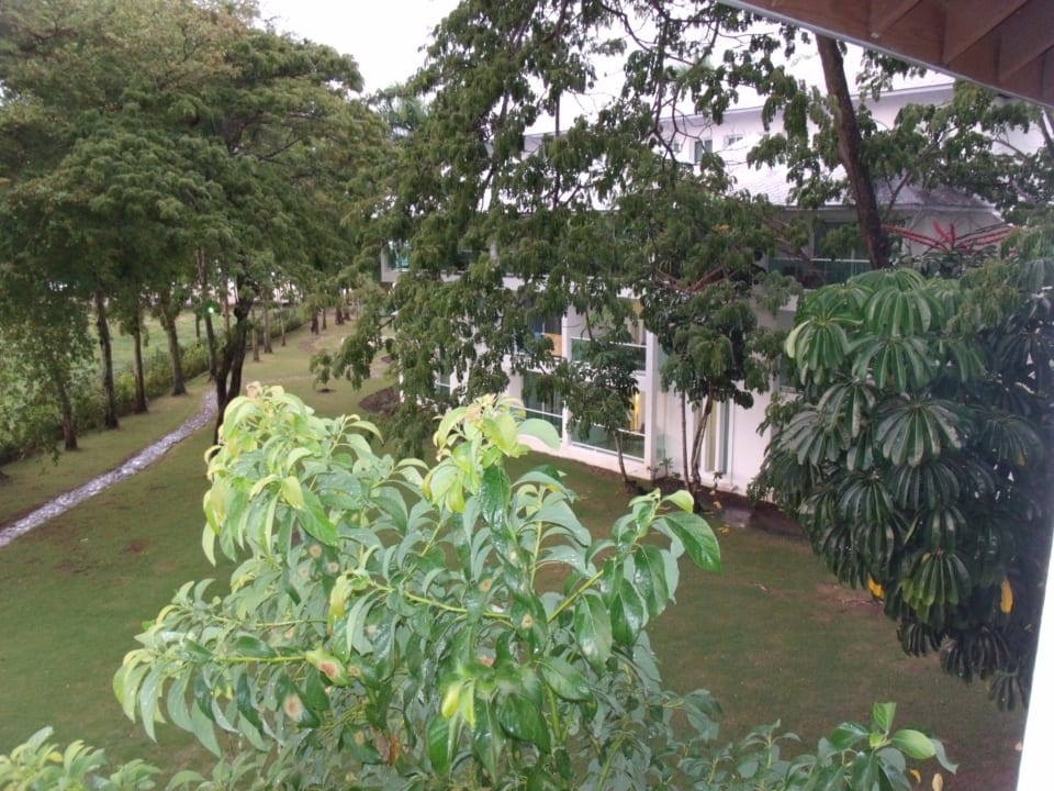 Schön grün Grand Paradise Playa Dorada