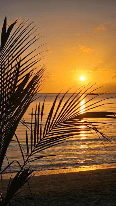 Strand Hotel Riu Negril