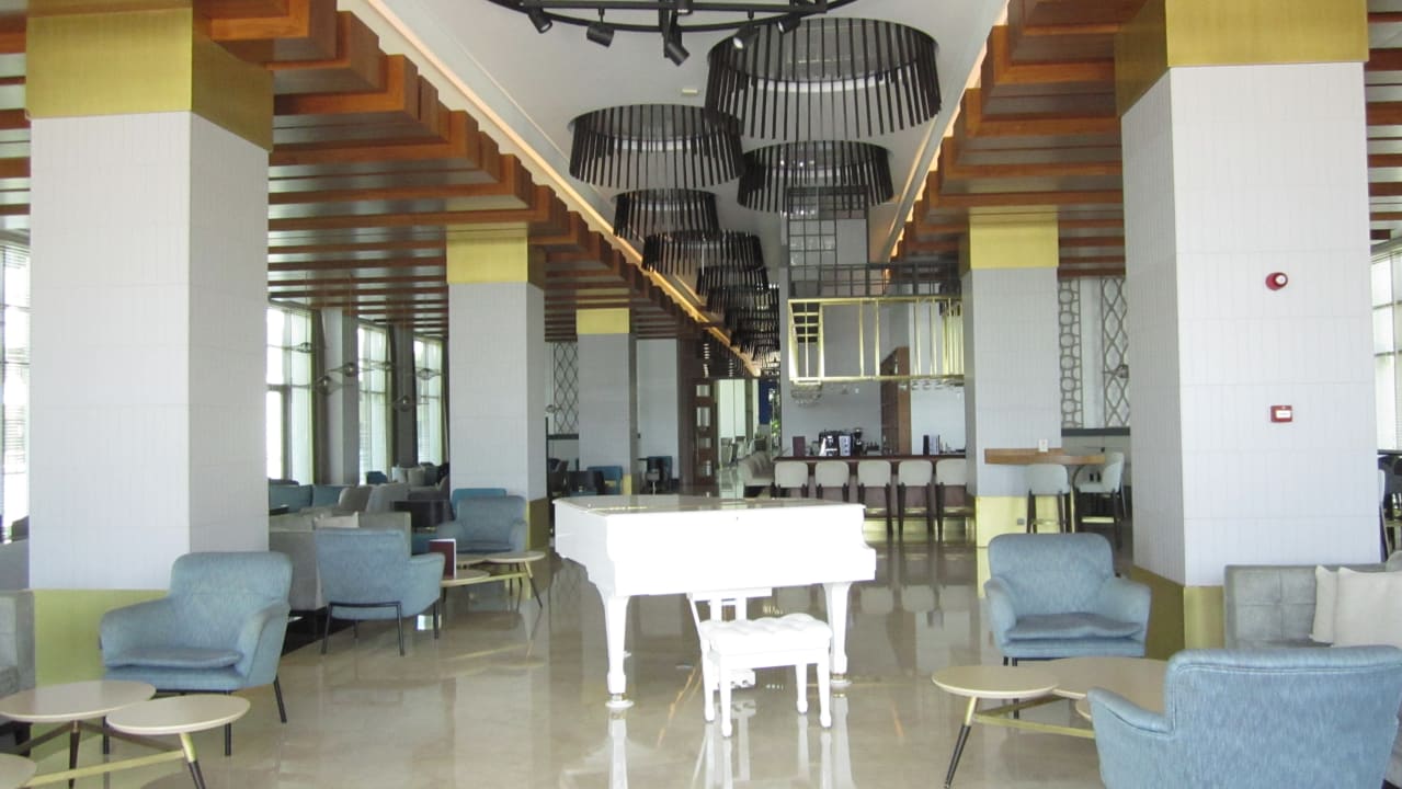 Gastro Acanthus Cennet Barut Collection