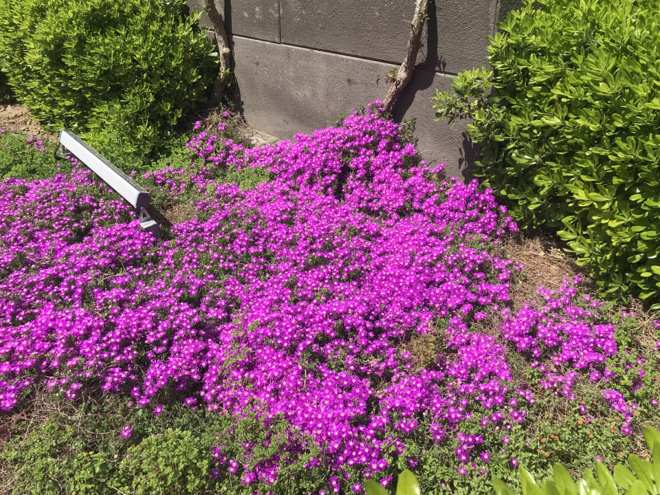 Gartenanlage Melas Lara Hotel