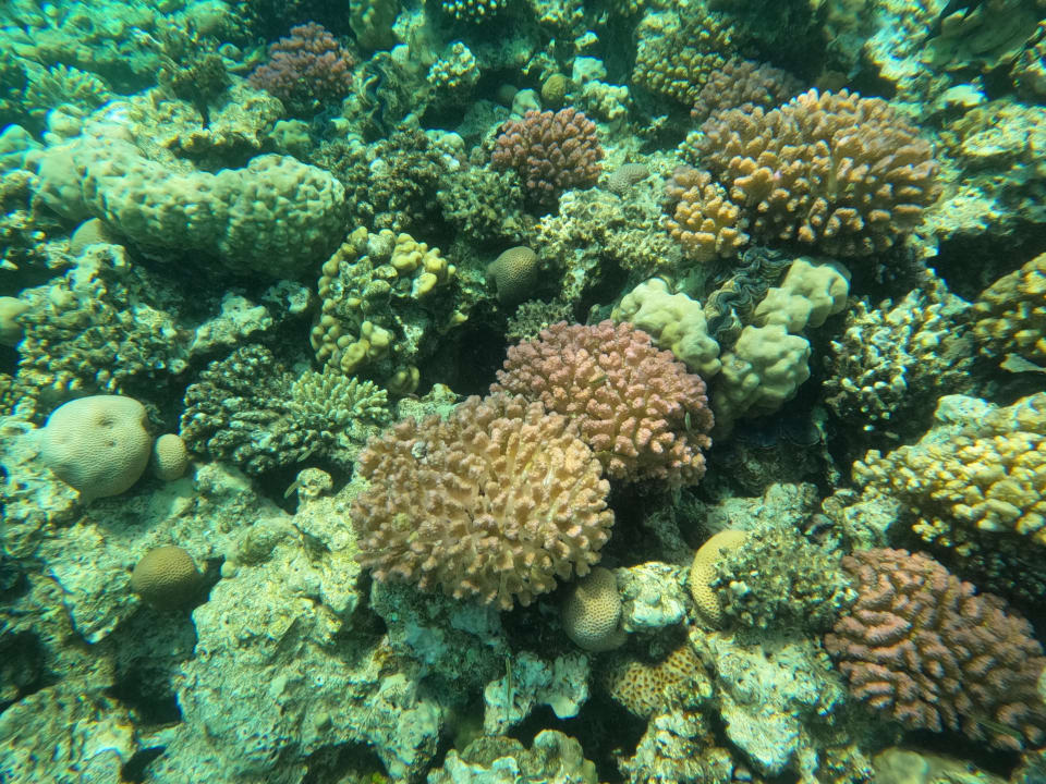 Sport & Freizeit Tropitel Sahl Hasheesh