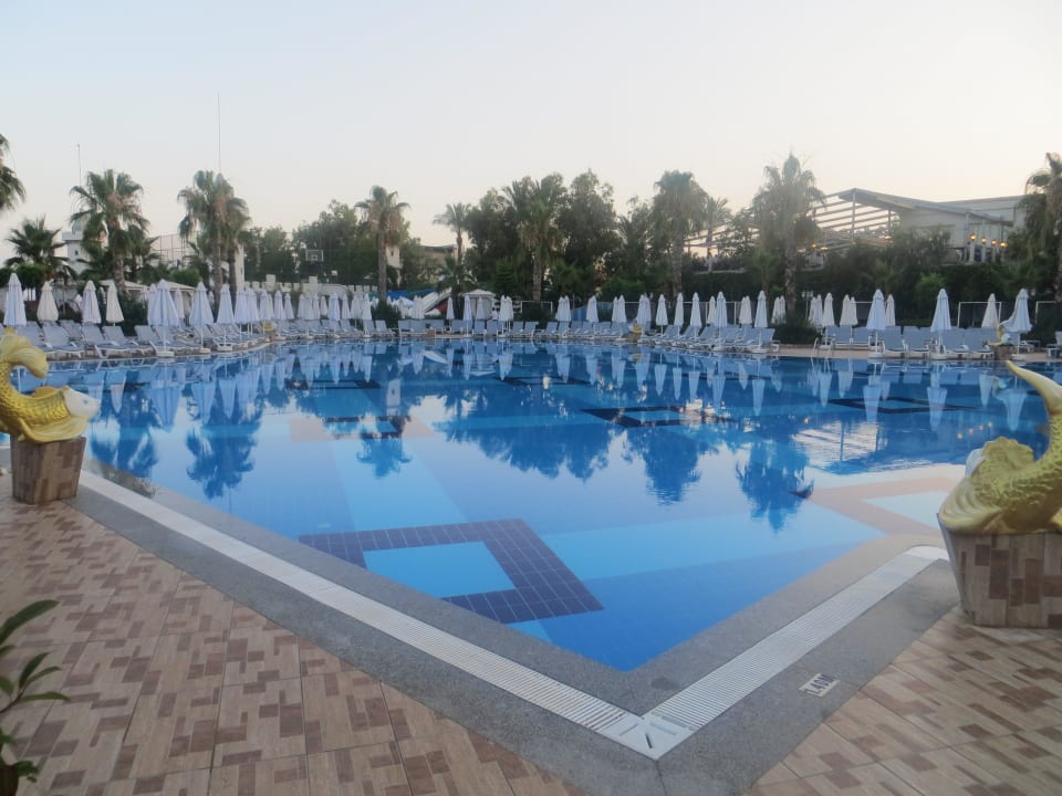 Hauptpool Hotel Delphin Imperial