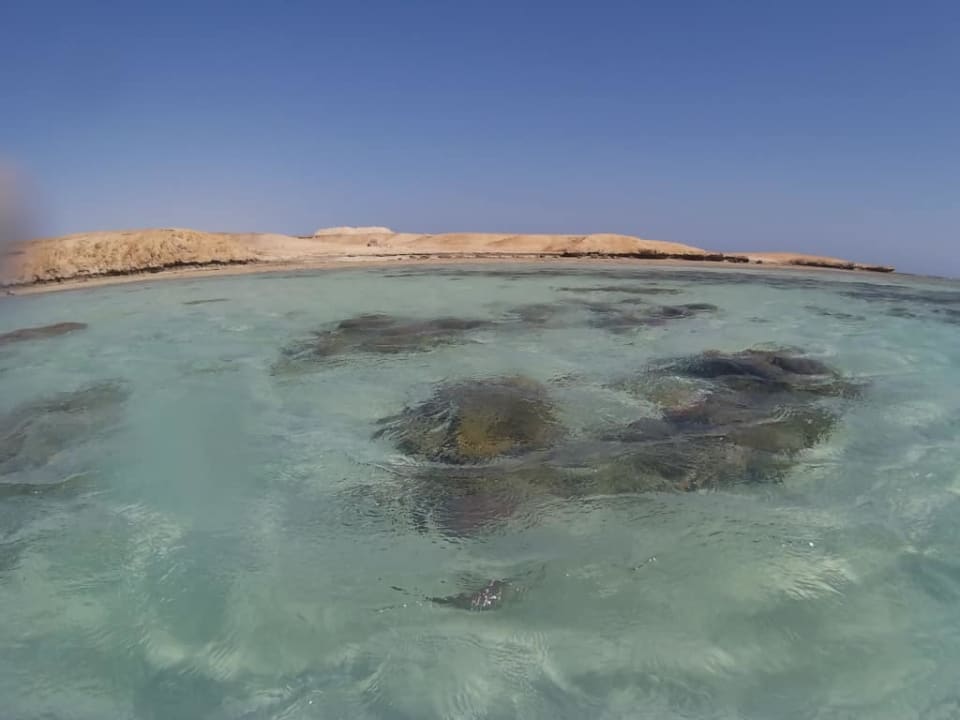 Plaża SUNRISE Cardina Resort