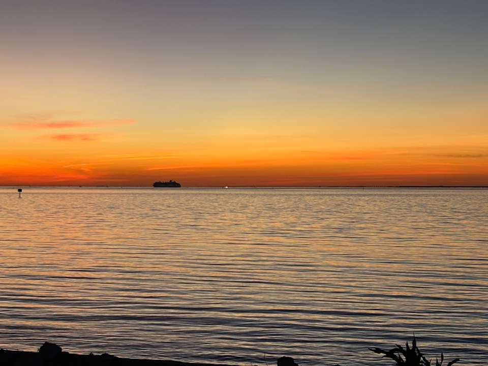 Ausblick The Artful Nook