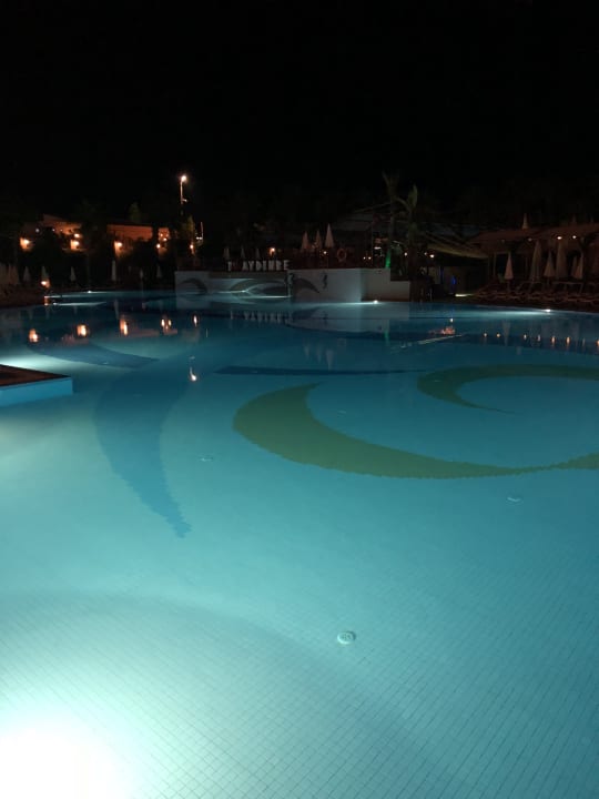 Pool Aydinbey Kings Palace & Spa