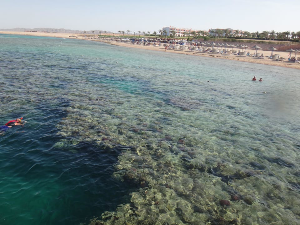 Schnorchelparadies am Hotelriff Fantazia Resort Marsa Alam