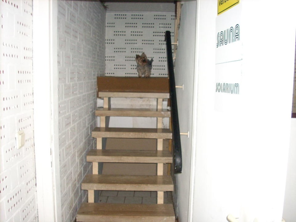 Auf- / Abstieg Sauna Hotel Kehrwieder am Kur-Cafe