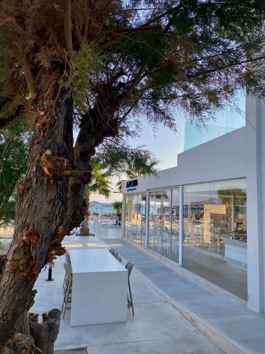 Gastro Paralos Lifestyle Beach