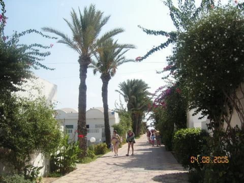 Allee pietonne Sol Club Kantaoui El Mouradi Club Kantaoui