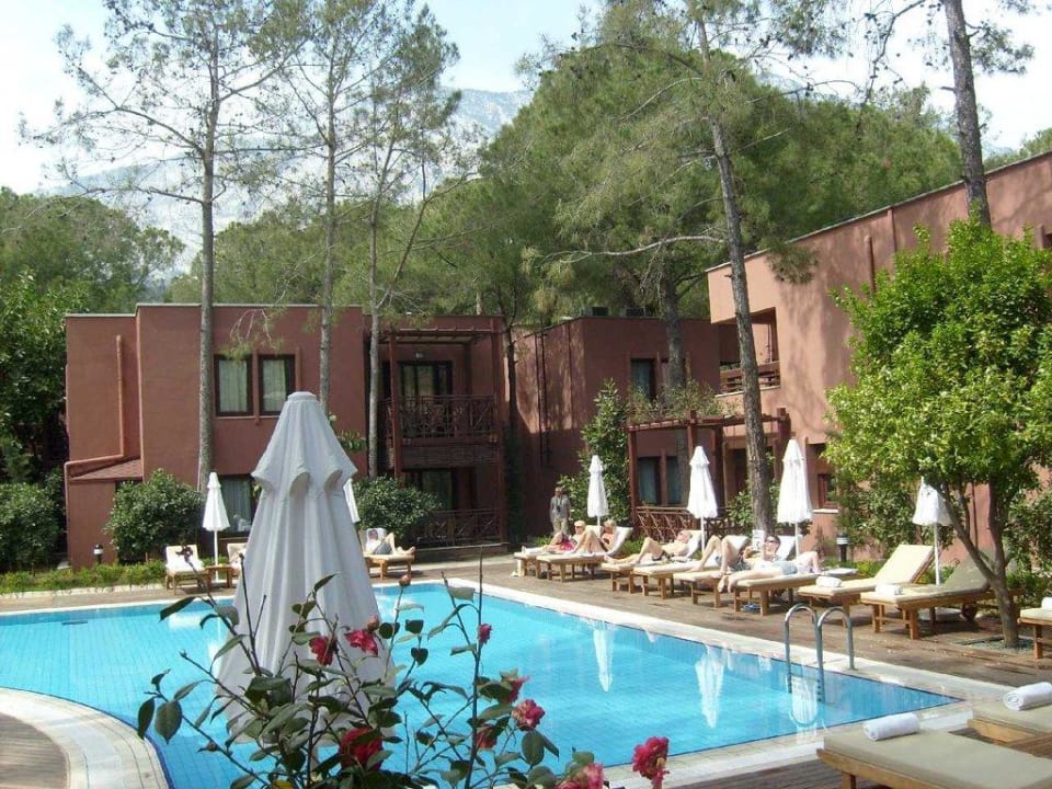 Kleiner Pool zwischen den Bungalows Balmy Foresta