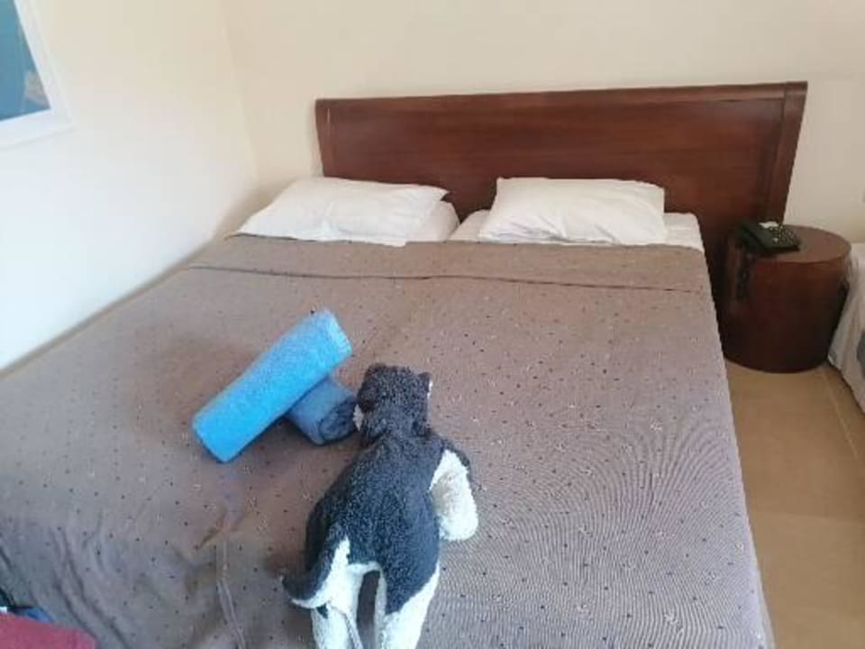 Zimmer Apollonia Beach Resort & Spa
