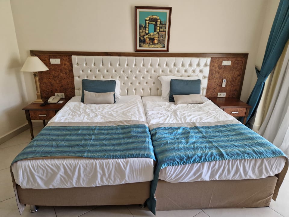 Zimmer Kamelya Aishen Club