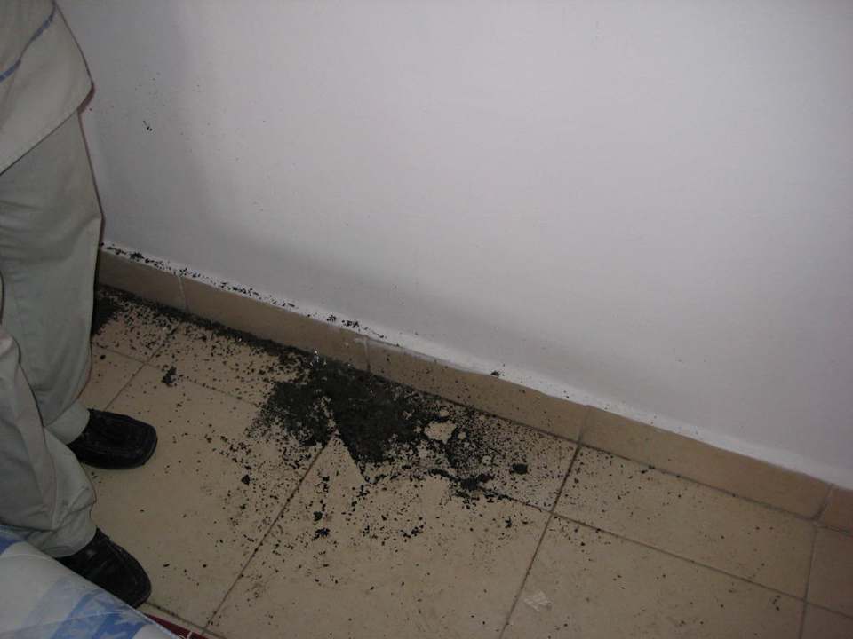 Dreck aus der Klimaanlage Ghazala Beach