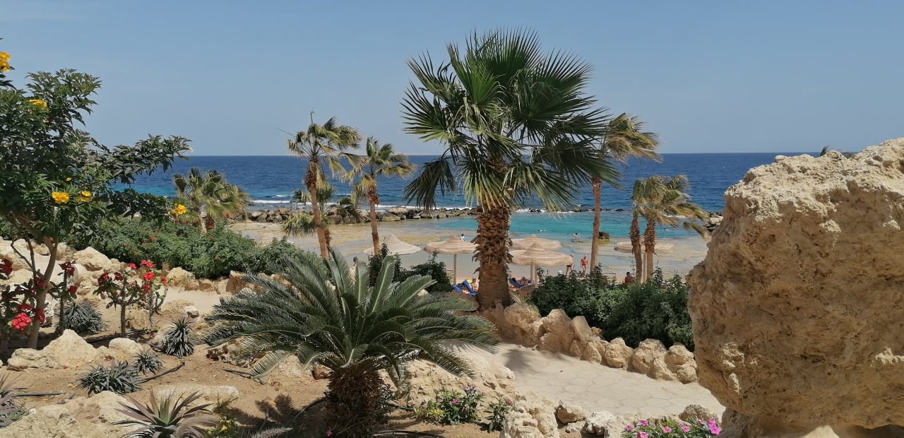 Strand Pickalbatros Citadel Resort