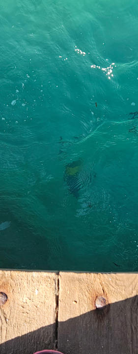 Strand Sultan Bey Hotel, El Gouna