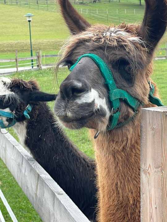 Sonstiges Familienparadies Reichenhauser