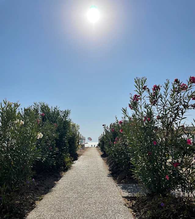 Strand TUI BLUE Xanthe