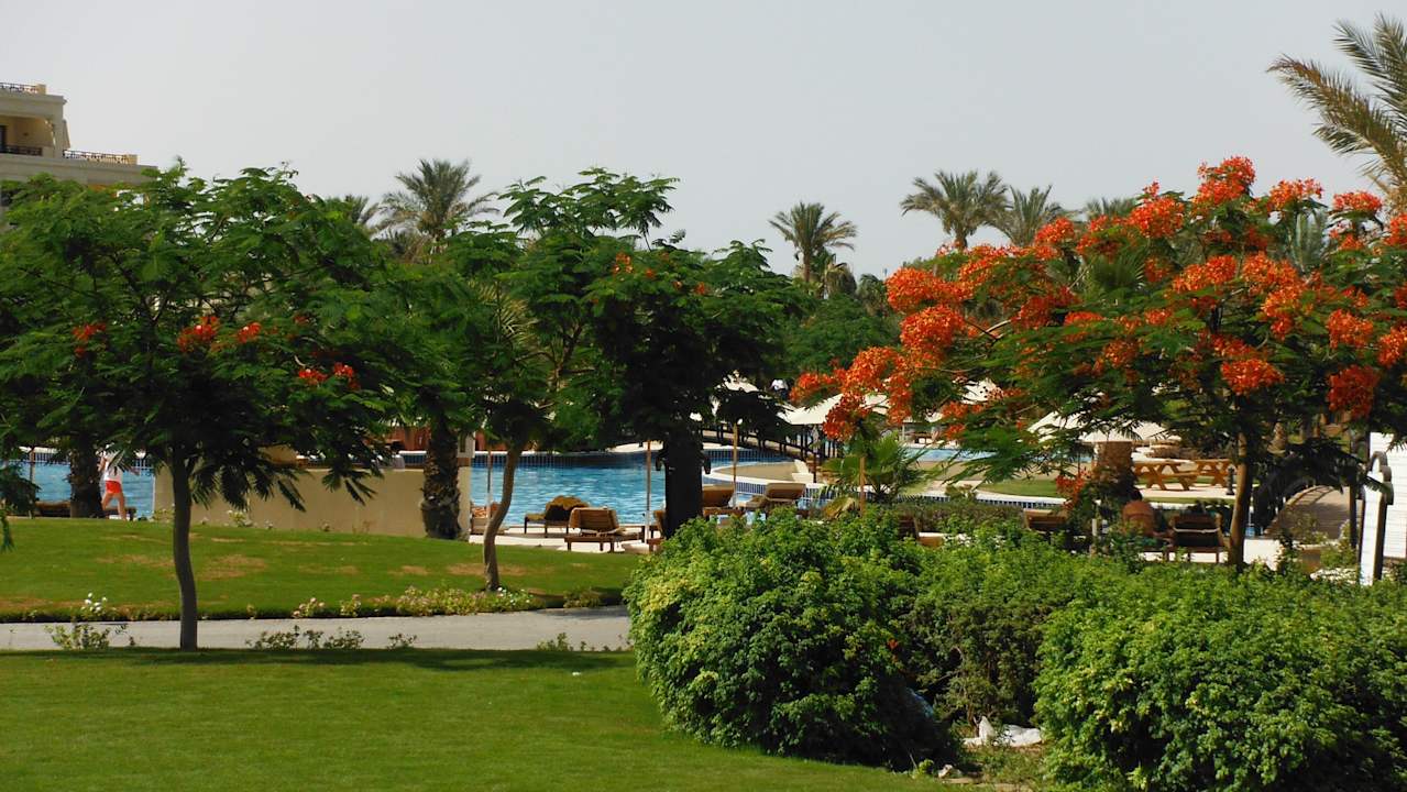 Garten Steigenberger ALDAU Beach Hotel