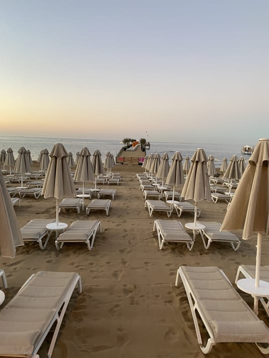 Strand Arum Barut Collection