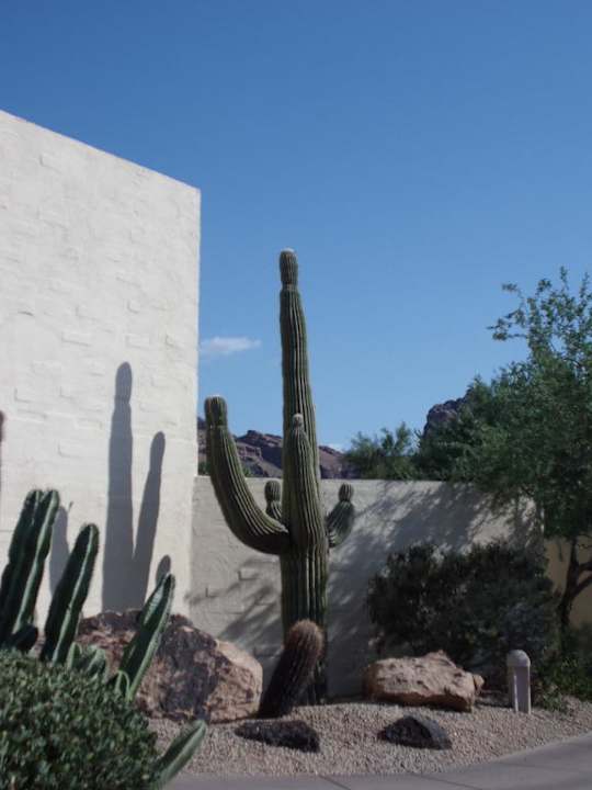 Sehr gepflegte großzügige Gartenanlage JW Marriott Hotel Scottsdale Camelback Inn Resort & Spa