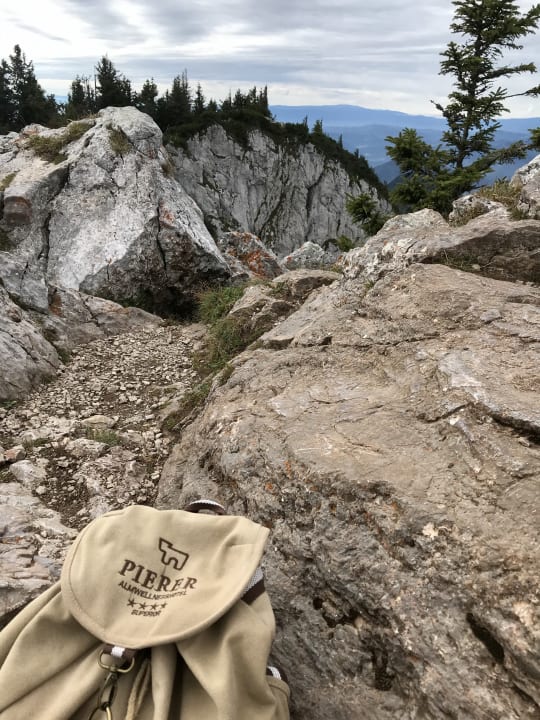 Ausblick Almwellness Hotel Pierer