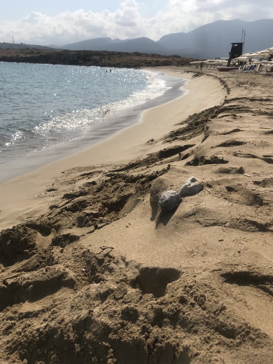 Strand allsun Hotel Carolina Mare