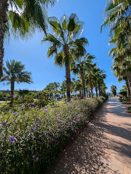 Pool Sultan of Dreams Hotel & Spa