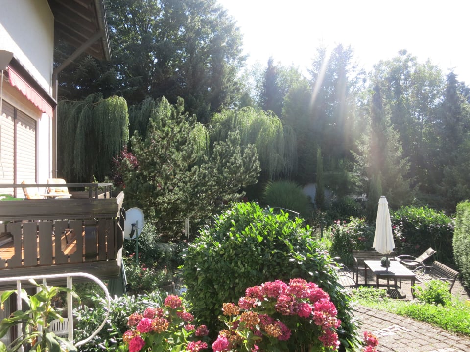 Mit viel Potenzial Hotel Rebekka mit Haus am Brühl