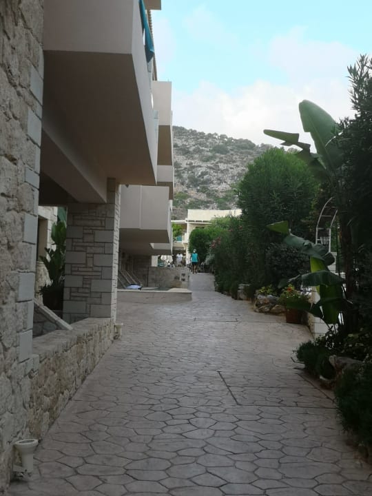 Gartenanlage Cactus Royal