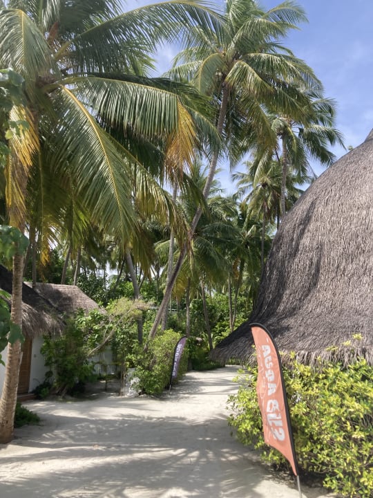 Gartenanlage Thulhagiri Island Resort