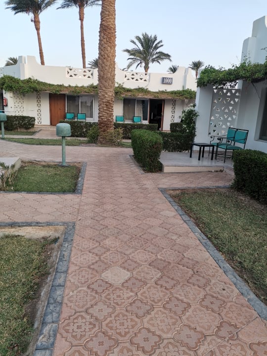 Gartenanlage Shams Safaga Resort