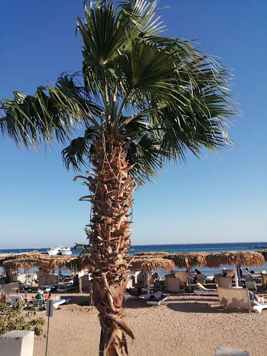 Gartenanlage Seven Seas Jolie Bay Resort