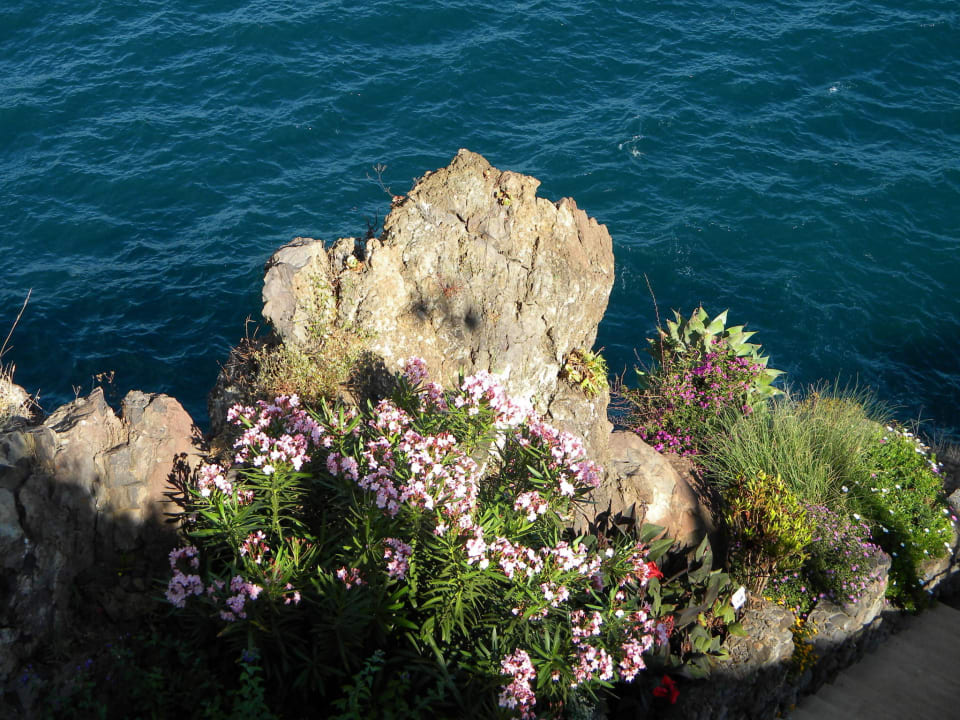 Nette Motive in der Anlage Hotel The Cliff Bay (PortoBay)