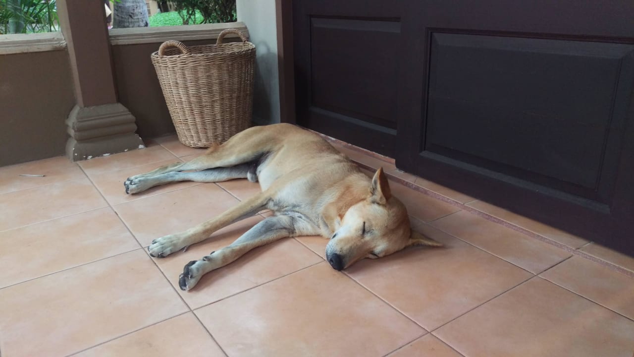 Unser Sheriff The Fair House Beach Resort