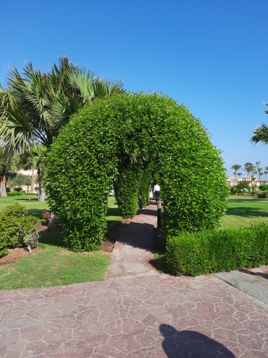 Gartenanlage Cleopatra Luxury Resort Makadi Bay