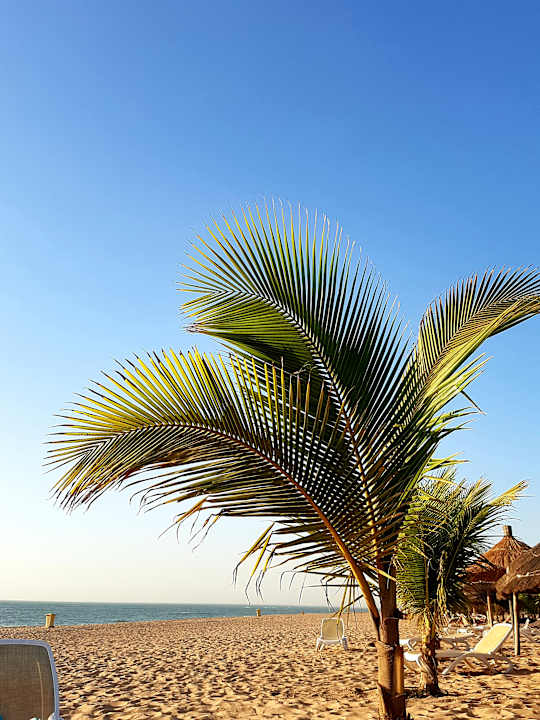 Strand Hotel Riu Baobab - All Inclusive