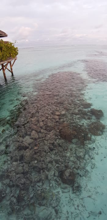 Sport & Freizeit Meeru Maldives Resort Island