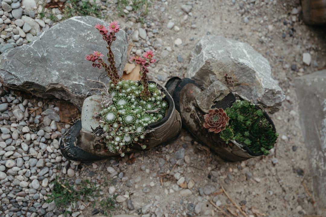 Außenansicht Bussjägerhof