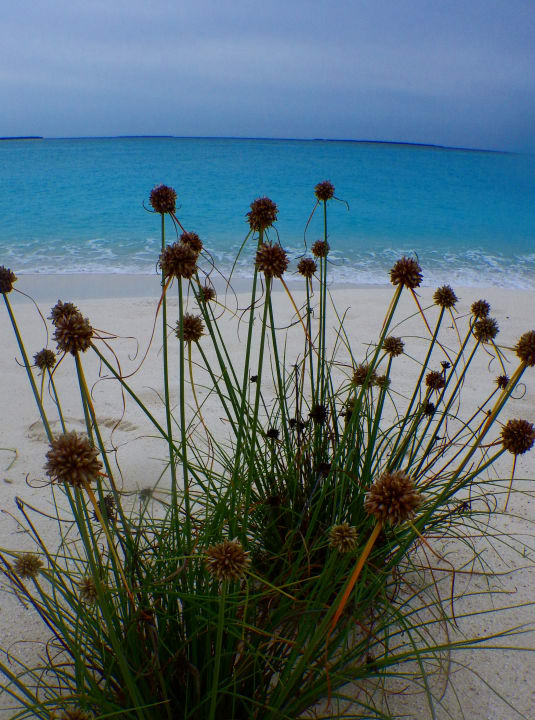 Strand Hondaafushi Island Resort