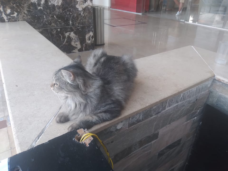 Sonstiges Royal Star Beach Resort